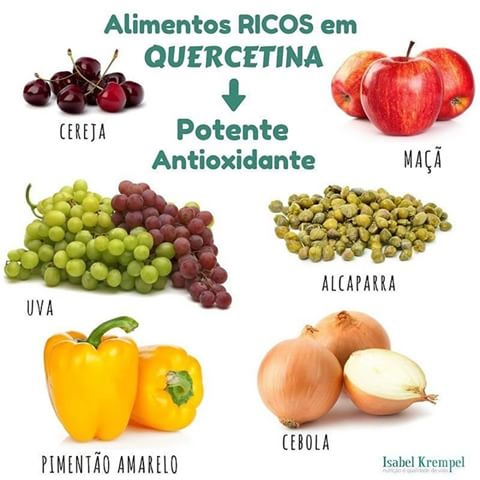 04 - quercetina quadro