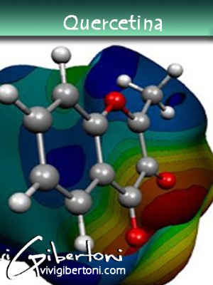 |Quercetina construindo saúde|