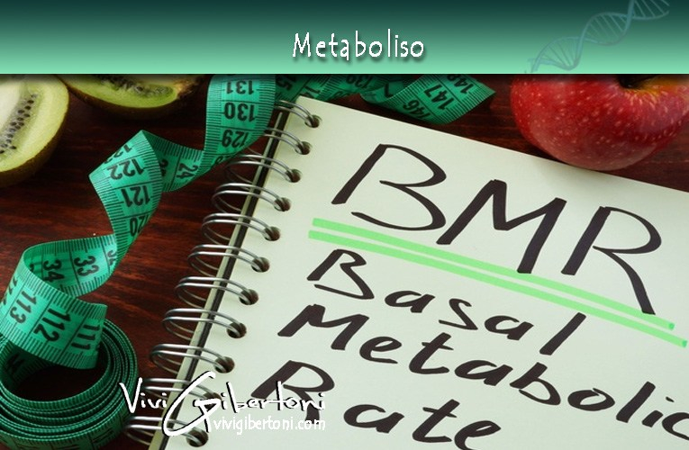 metabolismo