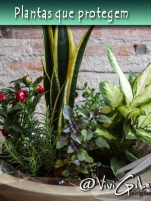 | A proteção que vem do verde |
