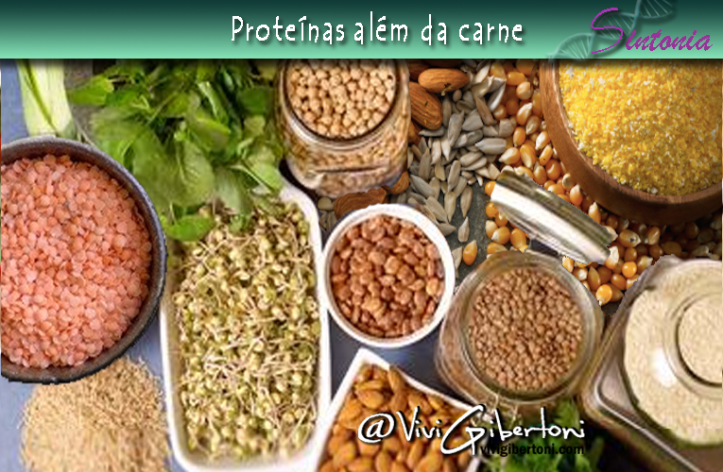 2016-10-28- proteinas alem da carne.png