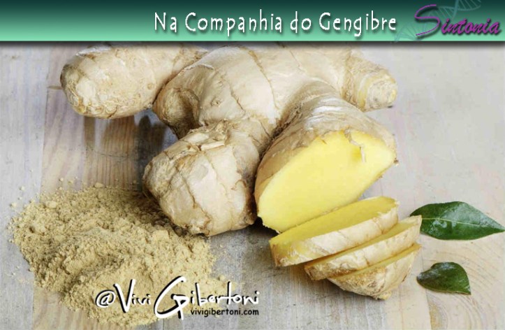 2017-06-16 - gengibre