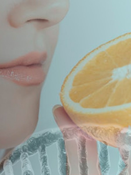 |Os Sistemas da Memória|