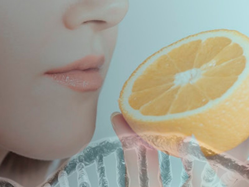 |Os Sistemas da Memória|