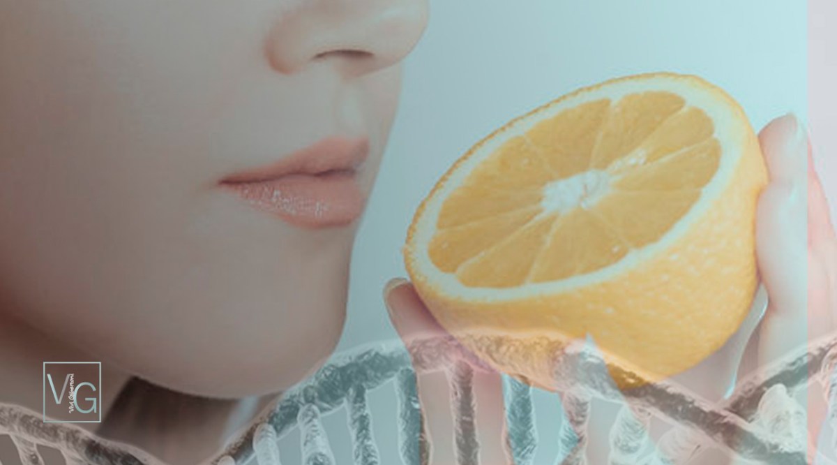 |Os Sistemas da Memória|