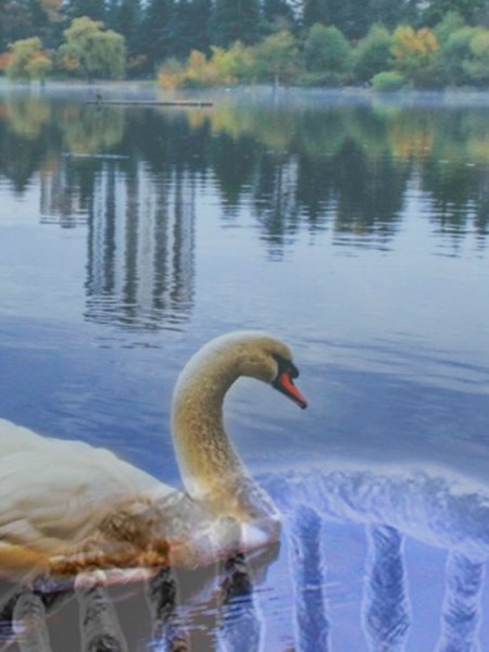 |A perfeita imperfeição|