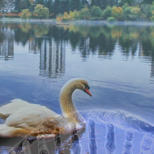 |A perfeita imperfeição|