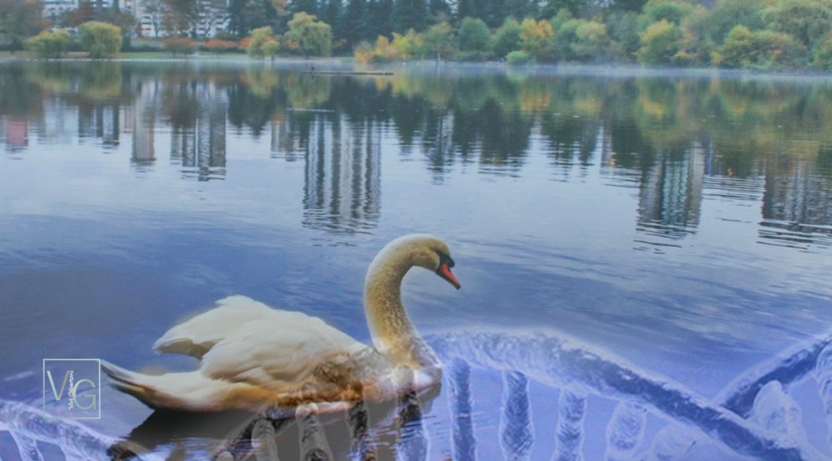 |A perfeita imperfeição|