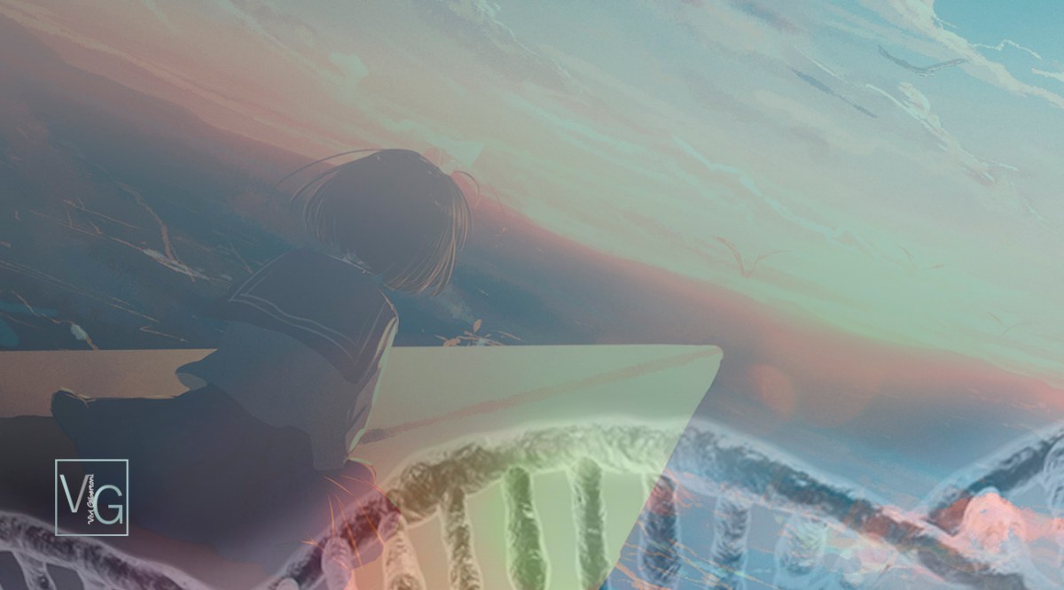 |Decolando com os Sonhos |