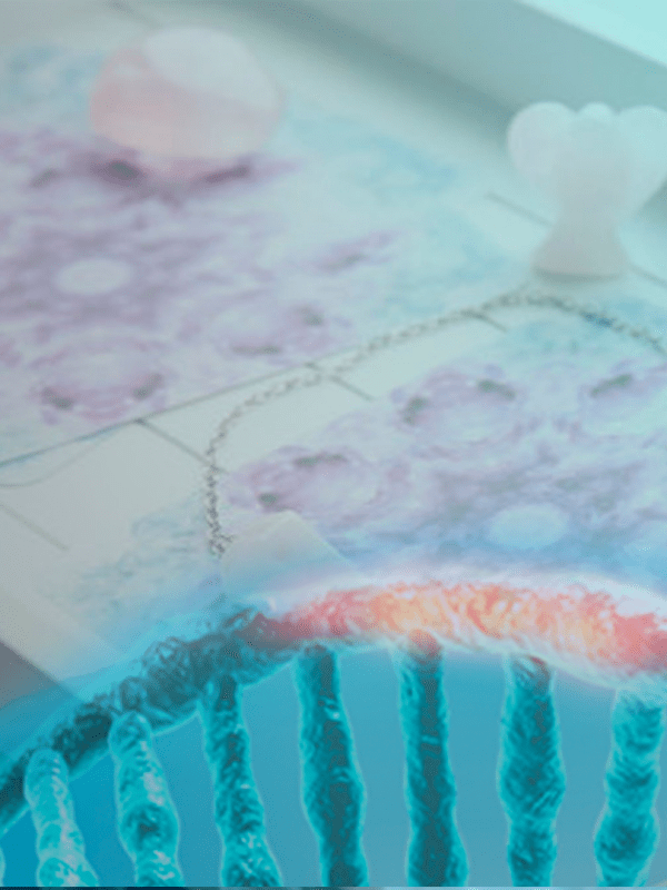 | As certezas do tarot terapêutico |