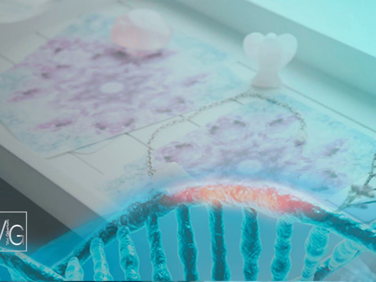 |The Dungeons & Dragons Tarot|