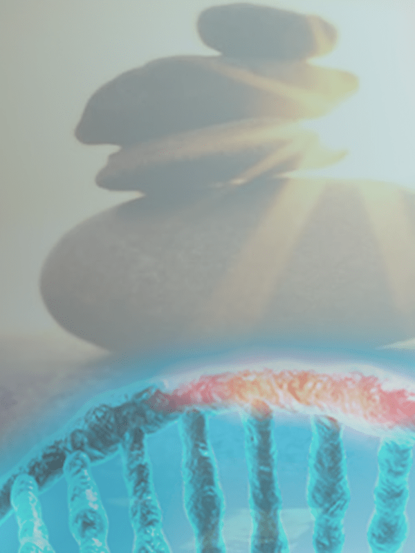 |Respiração e Ansiedade|