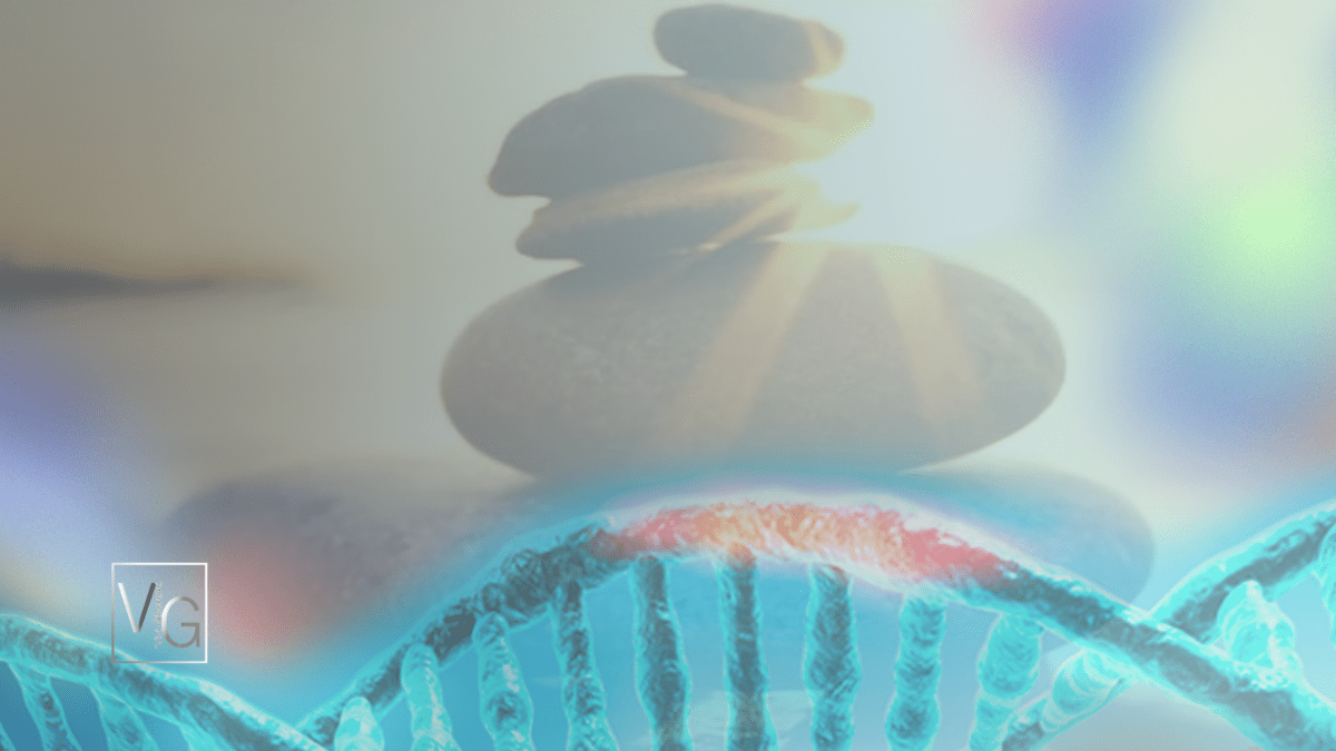 |Respiração e Ansiedade|