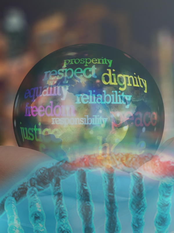 | Trabalhando Abundância|