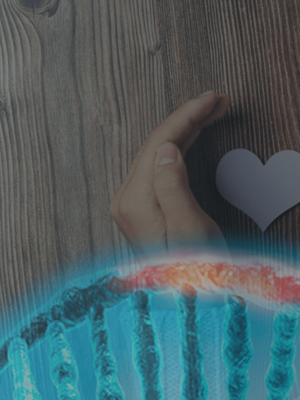 |Gratidão, e seu poder Transformador|