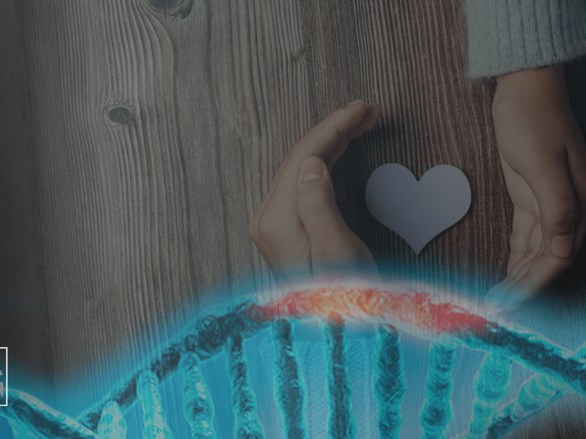 |Gratidão, e seu poder Transformador|