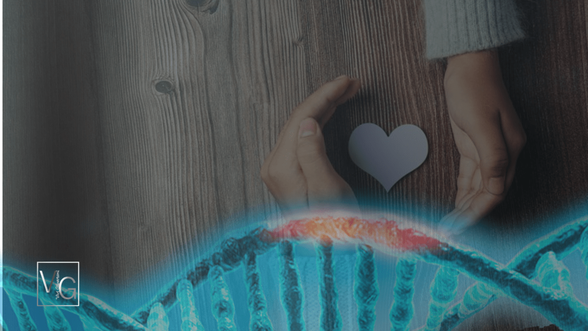 |Gratidão, e seu poder Transformador|