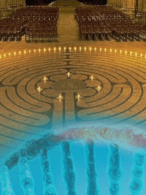 | A Catedral Viva de Chartres |