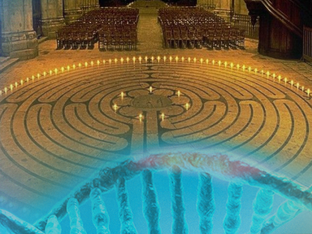 | A Catedral Viva de Chartres |