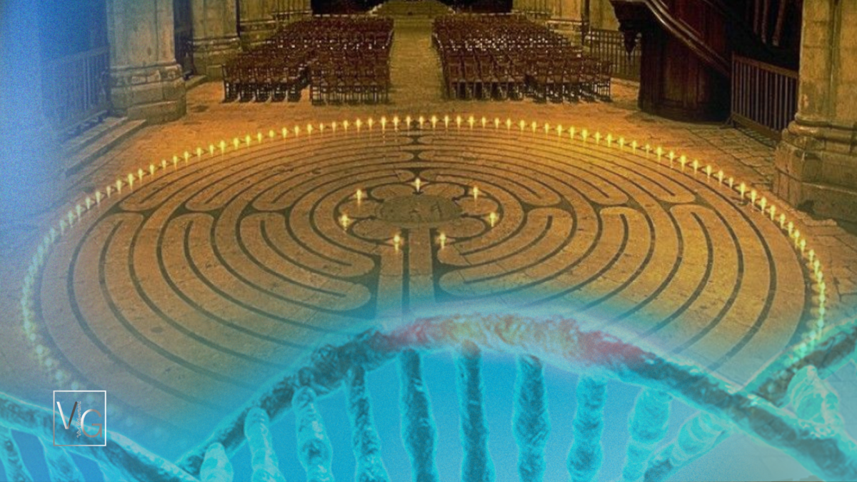 | A Catedral Viva de Chartres |