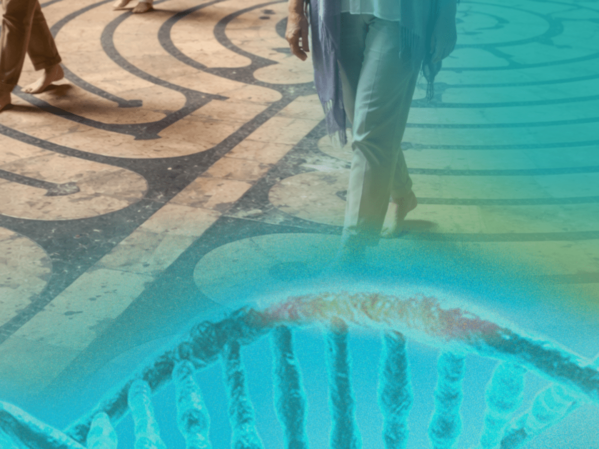 | Os Caminhos do Meditar|