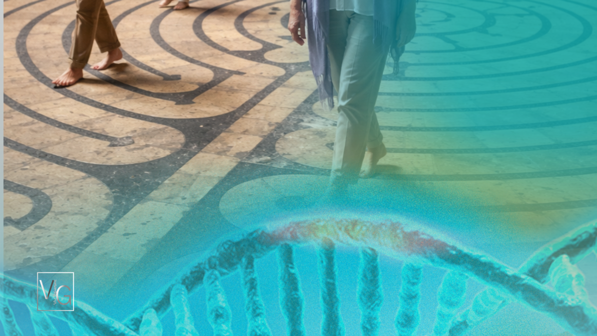 | Os Caminhos do Meditar|